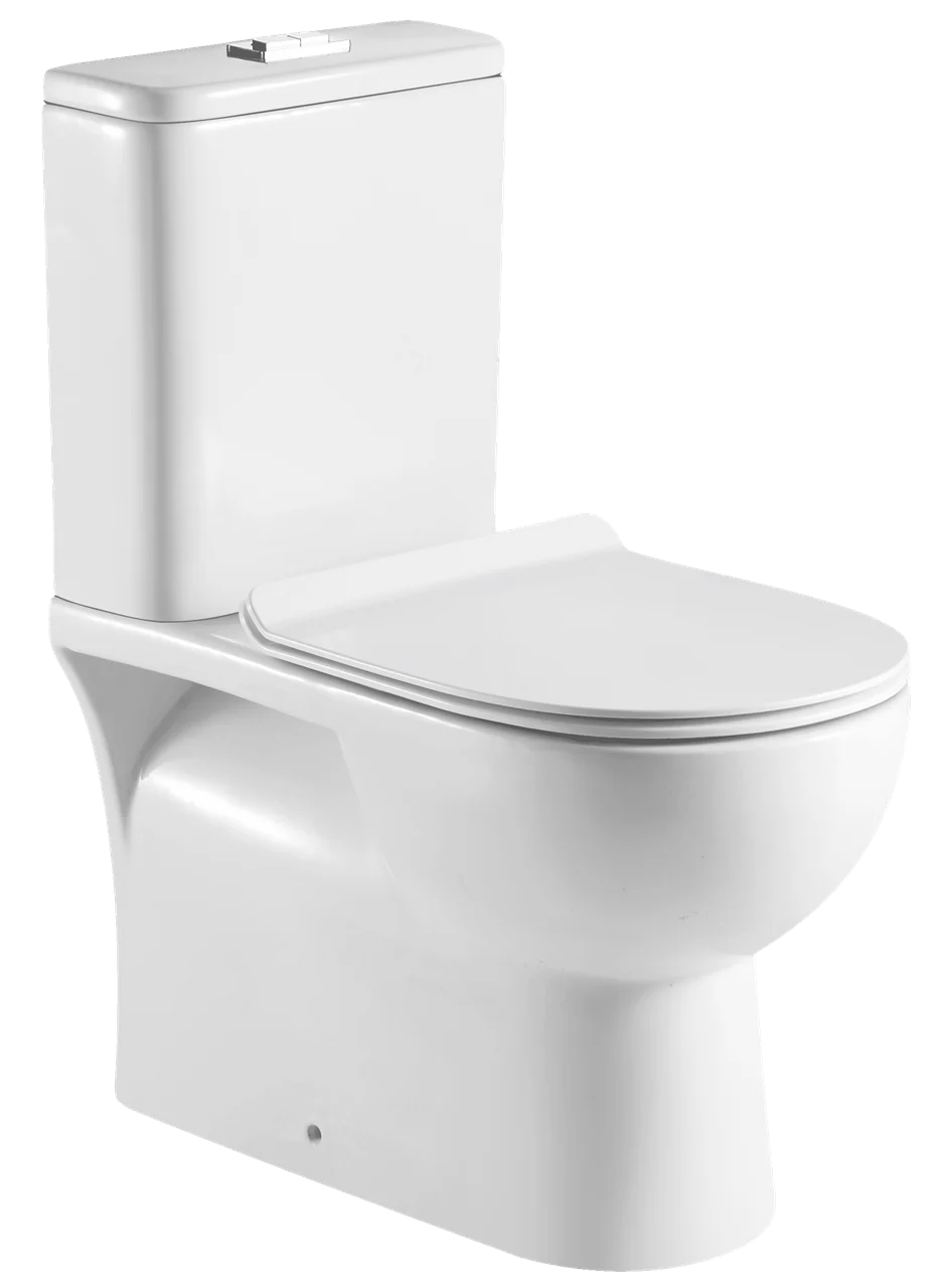 Duoblok Sanotechnik Mono Rimfree Spoelrandloos