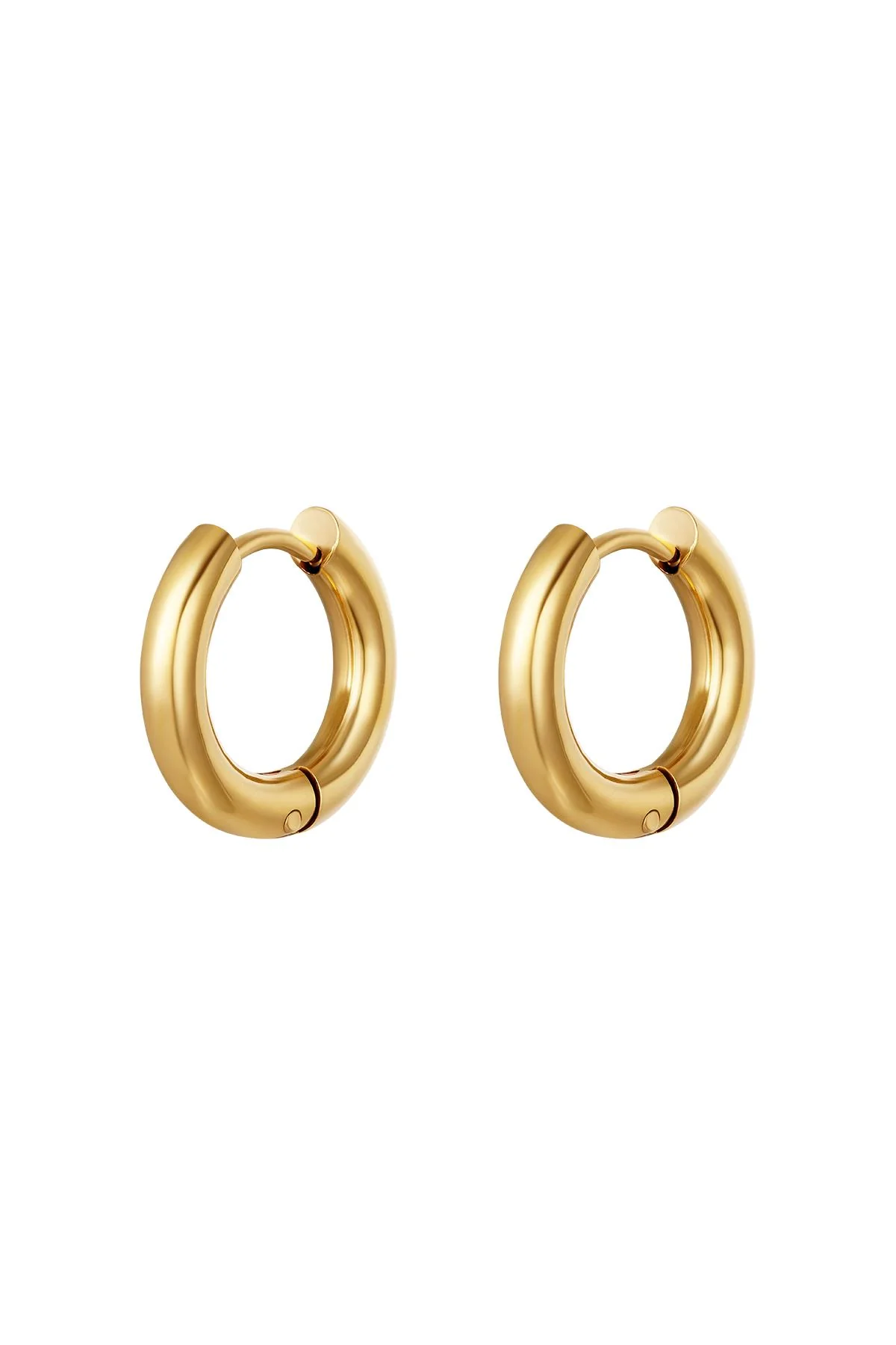 Basic creolen oorbellen – klein Goud kleur Stainless Steel