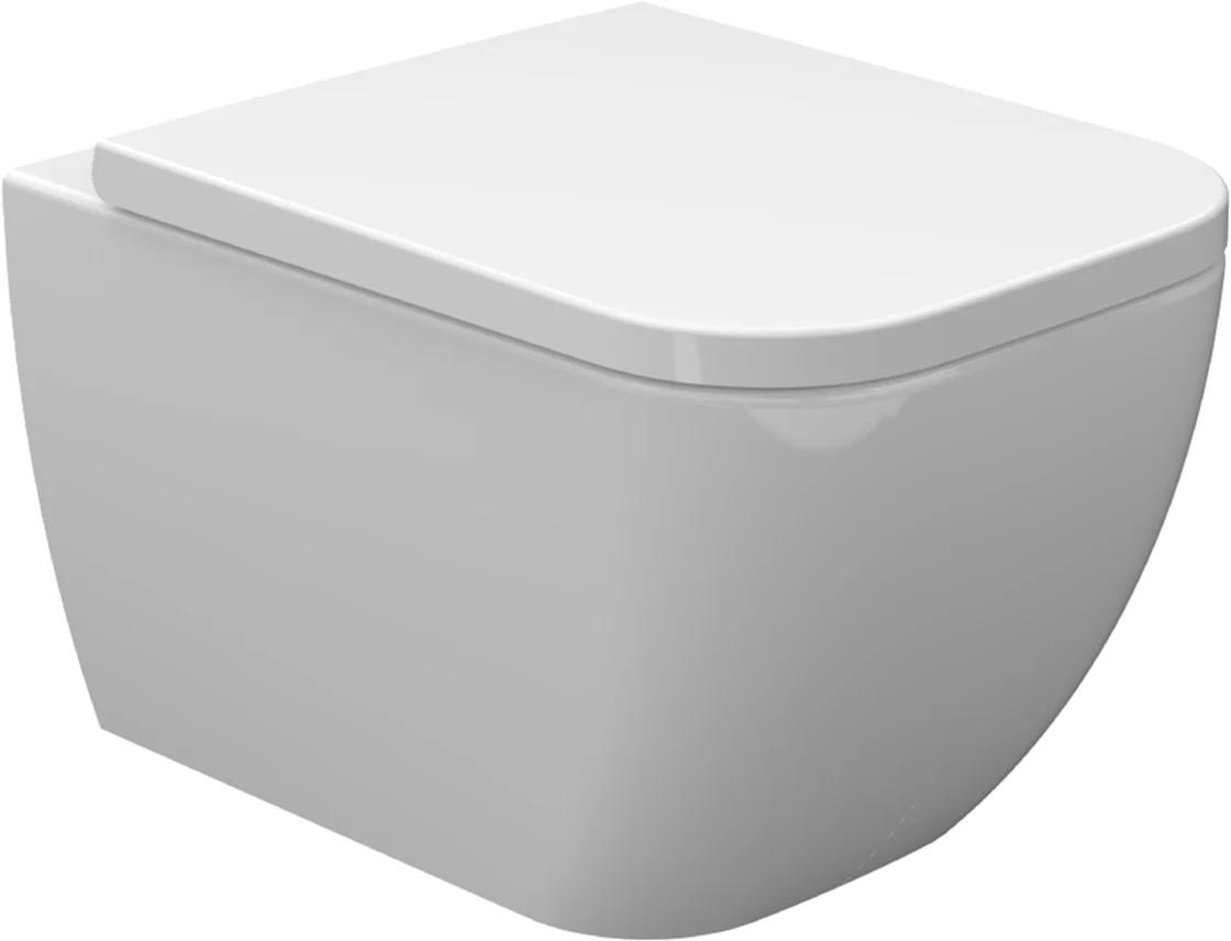 Sky Wandtoilet Verkort Met Sky Toiletzitting Softclose En Quick Release Glans Wit