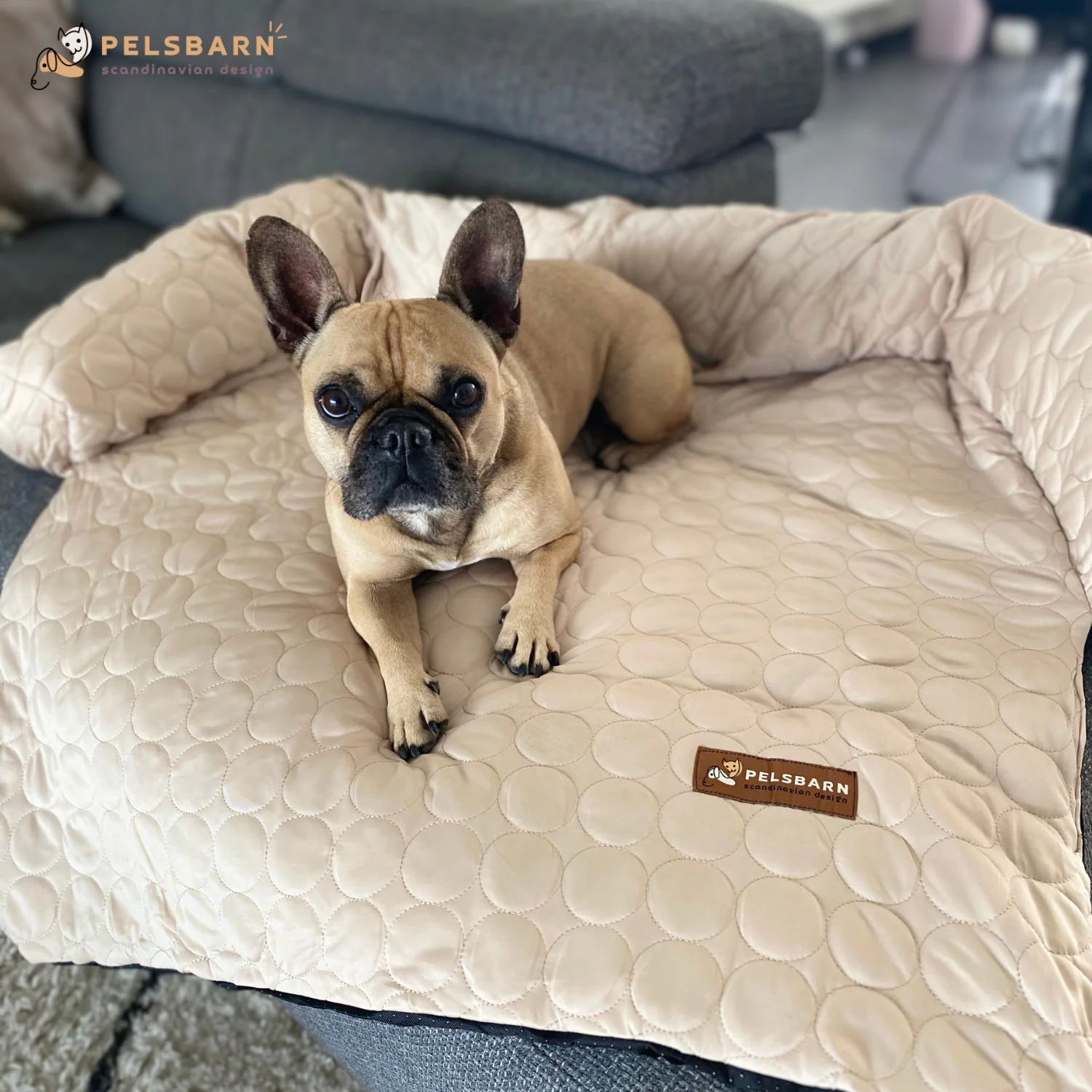 Verkoelend Honden Bed – Lichtblauw