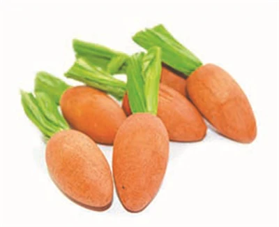 Critter’s Choice Happy Pet Carrot Nibblers Knaaghout 8X3X3 CM 6 ST