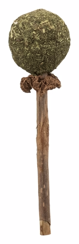 Trixie Matatabi Lolly Met Catnip 11 CM Trixie Matatabi Lolly Met Catnip 11 CM