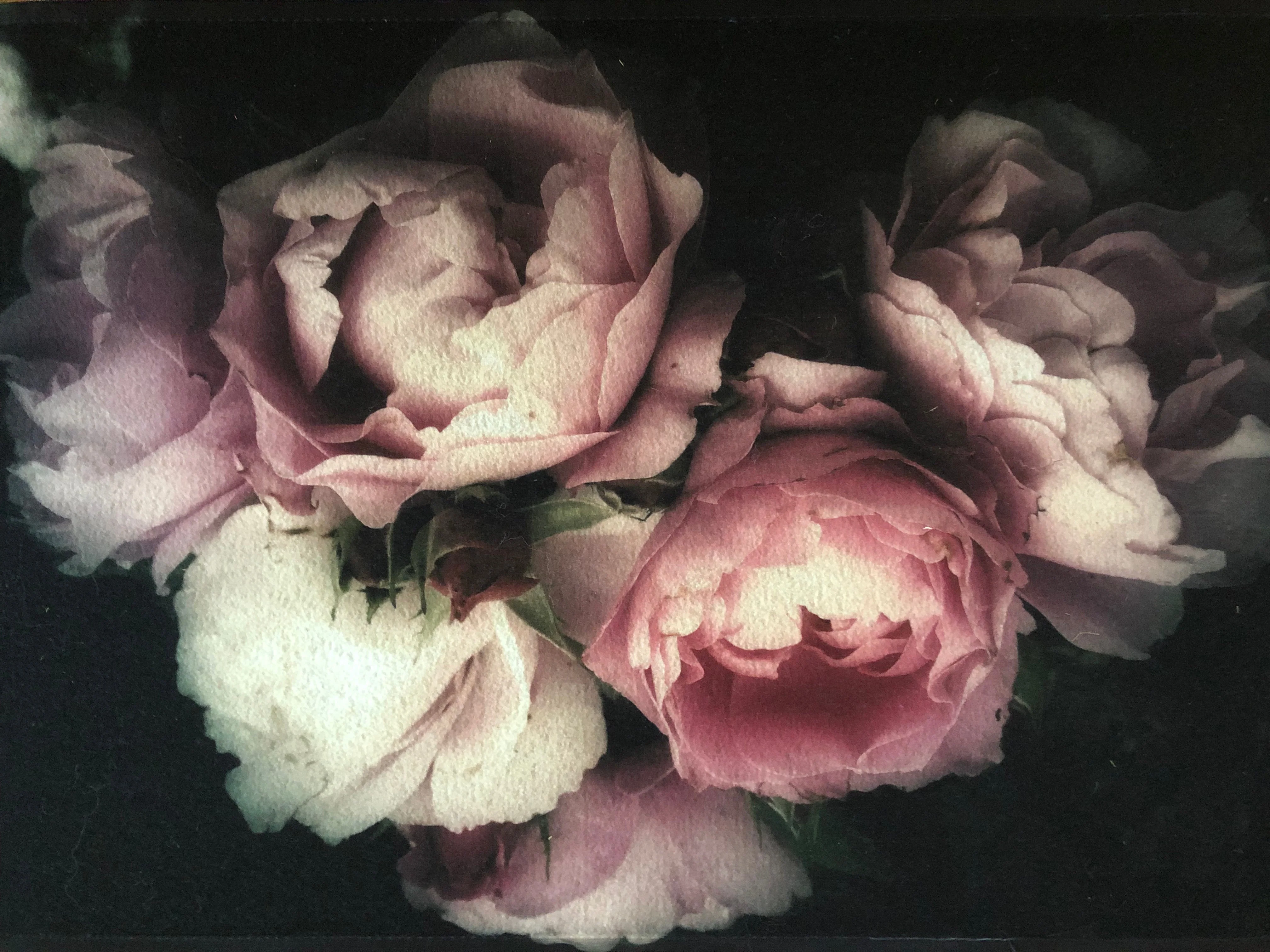 Deurmat rozen
