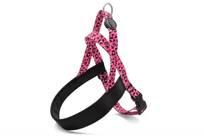 MORSO NORWEGIAN HONDENTUIG GERECYCLED BUBBLE LEO ROZE