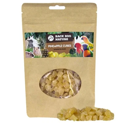 BACK ZOO NATURE ANANAS CUBES