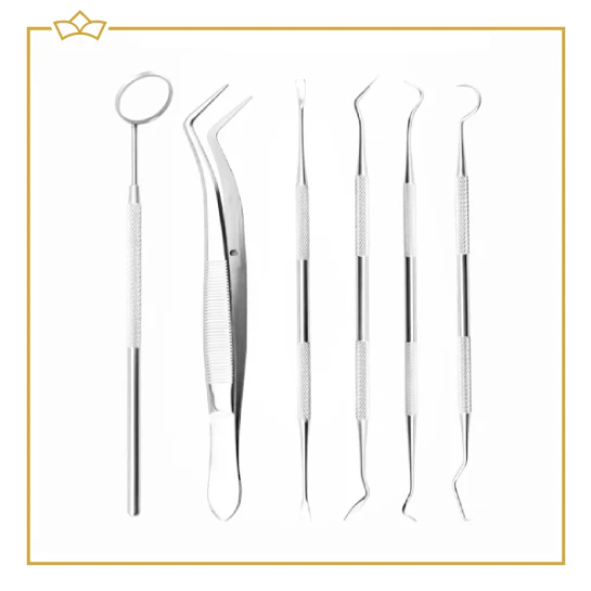 ATTREZZO® – 7 delige premium RVS Tandverzorgingsset inclusief case – Gebitsverzorging – Tandenstokers – Tandverzorging – Tandenflosser – Flossen