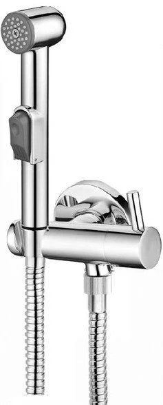 Bidet set inclusief slang en houder chroom